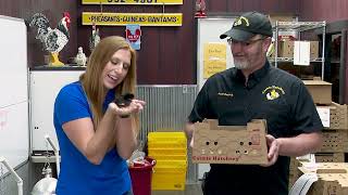 Alyssa Kelly Interviews Jeff Smith of Cackle Hatchery - Learn About Shipping Live Chicks Safely!