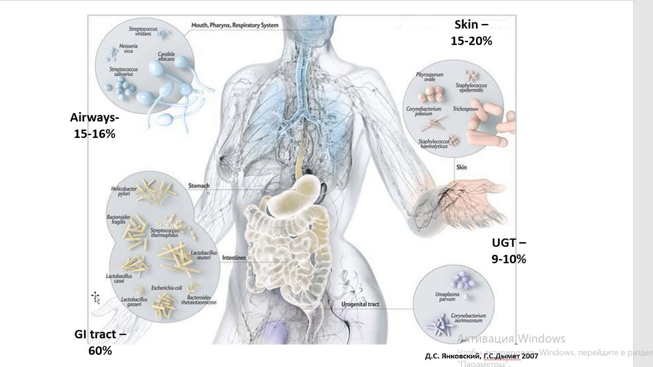 Lecture 9 - Microbiome Of Various Human Body Sites - YouTube