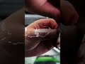 car glass damage repair process good tools and machinery make work easy