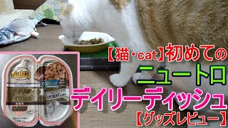 【猫・cat】はじめてのニュートロデイリーディッシュ【グッズレビュー】