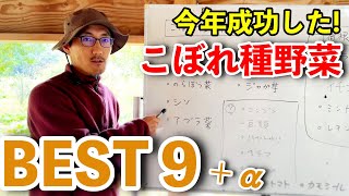 こぼれ種で成功した野菜９選！食べられる生態系を目指したい！