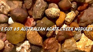 I cut 65 Australian Agate Creek nodules #thefinders #agate