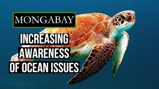 Support Mongabay's work to increase awareness of ocean issues