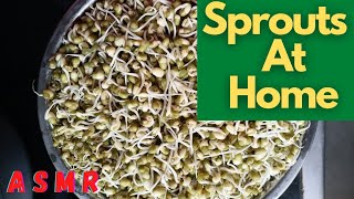 Sprouts At Home | Mung or Green gram Sprouts | Making at Home | ASMR