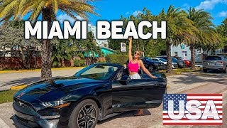 #52 USA - We're going to Miami! Motel, MUSTANG and Miami Beach! We want to see Florida!