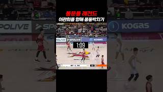 다시보는 몸통박치기😱☠️#kbl #농구 #shorts