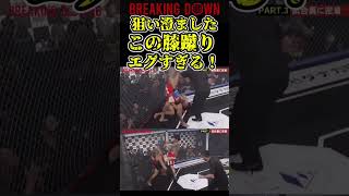 狙い澄ましたこの膝蹴りエグすぎる！飯田将成vs啓之輔【ブレイキングダウン7/ブレイキングダウン/BreakingDown】#shorts