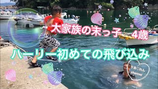 【夏の思い出】海ー‼️大家族の海遊び