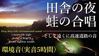 【睡眠·快眠·自然環境音·ASMR】田舎を感じる蛙の合唱