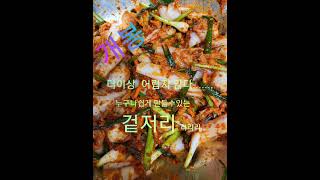 알배기배추로 아삭아삭 션한 겉저리만들기~~😋 (geotjeori. kimchi)