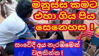 මනුස්සකමට එහා ගිය පිය සෙනෙහස  - සංවේදී අය නැරඹිමෙන් වලකින්න !