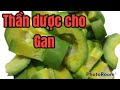 Thần dược cho Gan phục hồi tế bào gan| Thanh Đồng vlog