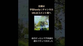 魂のカウンセラー宇宙family☆Ayaが『幸せになれる方法』宇宙の情報を解禁していくよ❣️ #ツインレイ #宇宙 #愛 #スピリチュアル#宇宙理論#真実#地球#地球環境#パートナーシップ#分離#解放