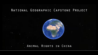 National Geographic Capstone Project - Animal Rights in China