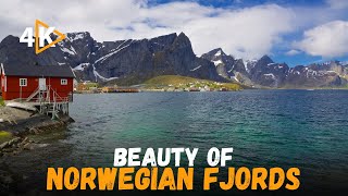 Exploring the Majestic Norwegian Fjords - 4K HD Video 2023 | Explore the world