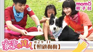 家事小達人 S2【照顧狗狗】第2季 第11集｜哥哥姐姐到你家，陪你做家事｜整理清潔DIY｜打掃髒污自己來｜還有家事小妙招要教給大家喔｜【親子台｜官方HD】momokids