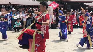 十人十彩  原宿表参道元氣祭  スーパーよさこい2019  奉納演舞