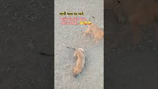 🐕 નાની વાતમાં ડખો થયો .... જુવો વિડીયો મા #viralvideos #doglover #villagelifevlogs #shorts