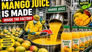 How Mango Juice Is Made Inside The Factory | Massive Mango Processing Production Line