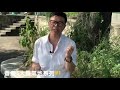 peter fung 水晶療癒心法 13集 香港五大靈氣聖地系列