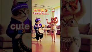 Cute cat dance #catdancer #cat #catdance #dancingcat #funny #viralcat #shorts