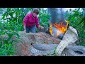 Harvesting Plants , Green Garden Care - Bad When Big Snake Appears On The Farm, Spring Crop Care