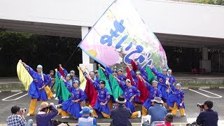 貝塚よさこい「舞人」～まいびと～ @ ゑぇじゃないか祭り (イオンモールりんくう泉南駐車場会場/初日) 2019-10-14T14:30