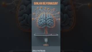 BUNLARI BİLİYORMUSUN? #1