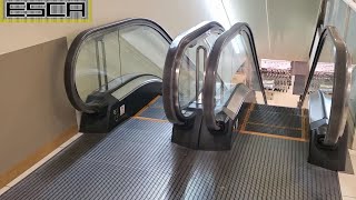 マルエツ 新田店 エスカレーター 2F-1F 東芝 maruetsu nitta Escalator Toshiba