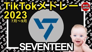 【TikTok】2023🇯🇵ティックトックメドレー【セブチ】7月～9月【視聴者様リクエスト】