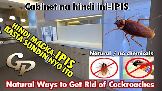 Kitchen Cabinet Na Hindi Ini-IPIS | Natural Ways to Get Rid of Cockroaches