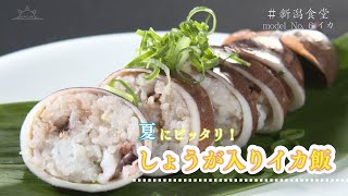 SUNTUBE #新潟食堂 modelNo 6 イカ【新潟・食のVlog】