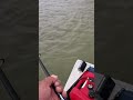 fishing in napa river