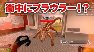 【神回】プラウラーを引き連れて、敵を倒してみた！【APEX】