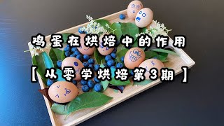 烘焙中关于“鸡蛋”必须了解的知识点，理论干货总结【从零学烘焙第3期】