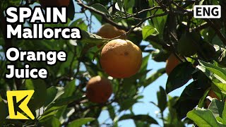 【K】Spain Travel-Mallorca[스페인 여행-마요르카]집에서 재배한 오렌지로 만든 쥬스/Orange Juice/Drink/Soller