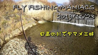 FlyFishingManiacs2019/11/23～日高の川でヤマメ三昧