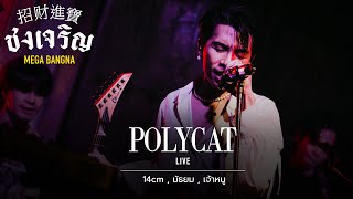 14cm, มัธยม, เจ้าหนู - POLYCAT [Live] | @ ชงเจริญ Mega Bangna | 05 OCT 22