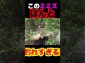 魚の口の中からキモイの出てきた。。 short キモイ バス釣り