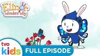 ELINOR WONDERS WHY 🐰 The Zig Zag Plant / Butterfly Drinks 🪴🦋 FULL EPISODES on TVOkids!