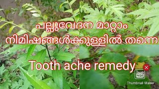 പല്ലുവേദന മാറാൻ /TOOTHACHE RELIEF HOMEREMEDIES/fast remedy