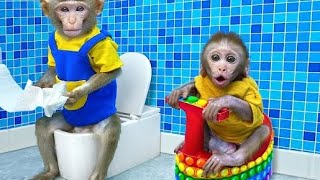 Monkey Baby Bon Bon oes to the toilet and plays with Ducklings in theswimming pool# monkey# bander#
