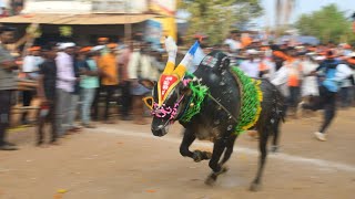 ಕಪ್ಪನಹಳ್ಳಿ Top ಹೋರಿ ಹಬ್ಬ 2023/ Kappanahalli Hori Habba Part-1