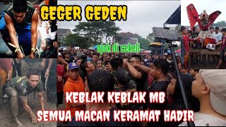 GEGER KENA COKOT ‼️ MACAN MACANAN FEBRI DAPAT MANGSA , CAK BUS NDADI#munculbudoyoofficial