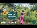 Have you planted your fall garden yet? | Garden Tour WEEK 32, 2024