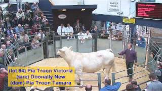 Pia Troon Dispersal Sale of Charolais Cattle held at Borderway Mart, Carlisle