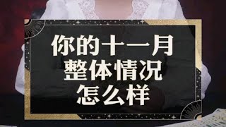 【灵眸塔罗】你的十一月整体情况怎么样？