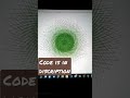 Draw something awesome using turtle in python. #Shorts #python #programming