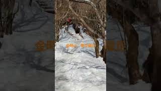 金時山　雪山縦走