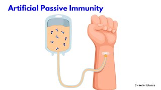 Types of Immunity/Active and Passive Immunity